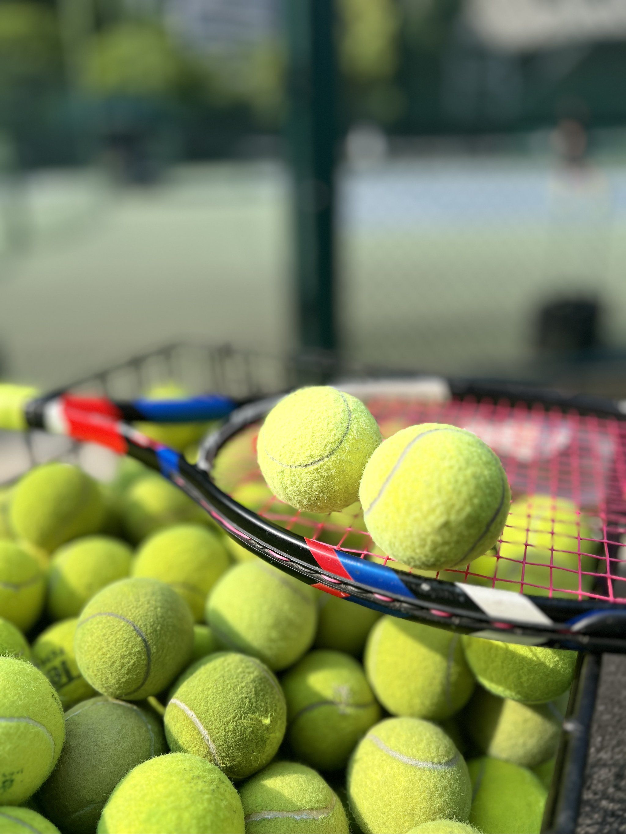 不是玄学 不是玄学